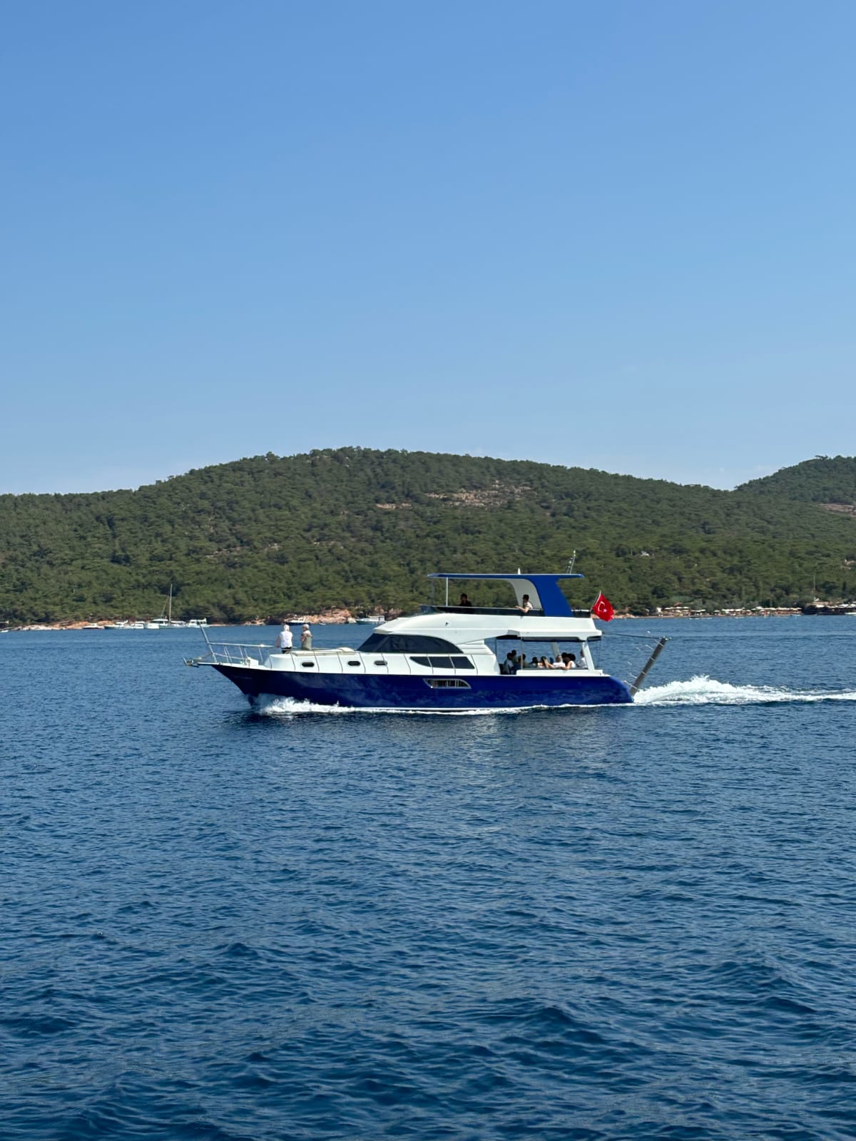 alesta star