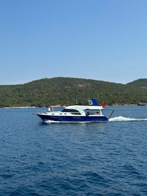 alesta star1