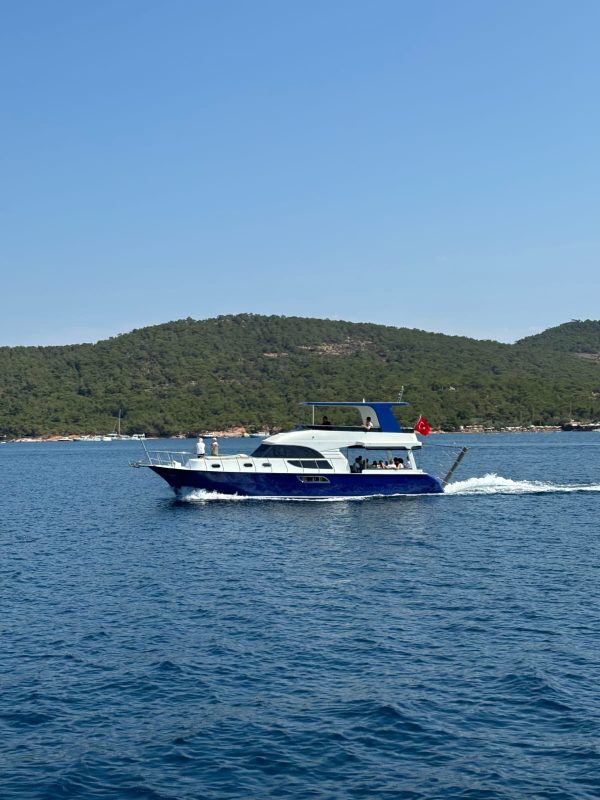 alesta star1