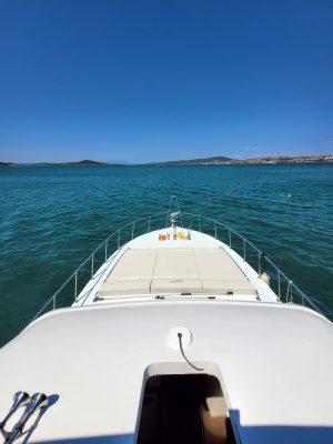 alesta star2